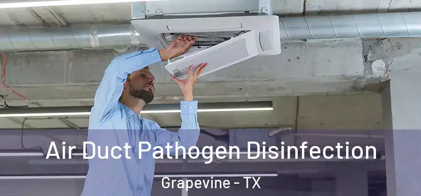  Air Duct Pathogen Disinfection Grapevine - TX