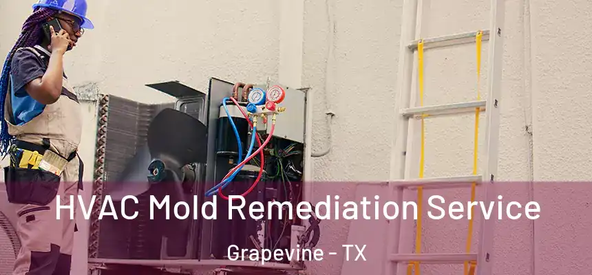  HVAC Mold Remediation Service Grapevine - TX