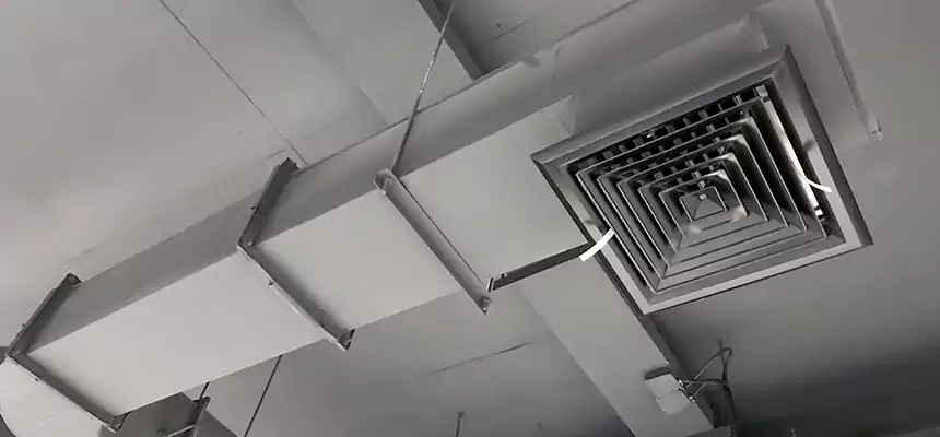 Our Pest Removal From Ducts Services in Grapevine, TX