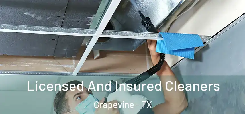 Licensed And Insured Cleaners Grapevine - TX