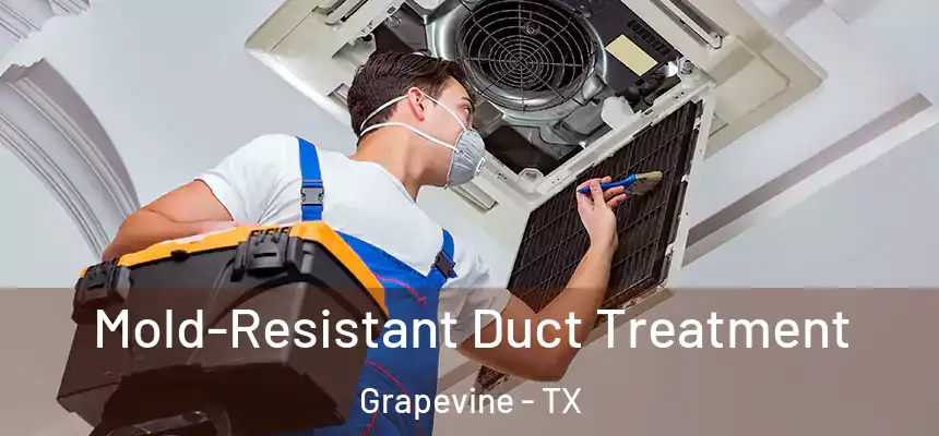  Mold-Resistant Duct Treatment Grapevine - TX