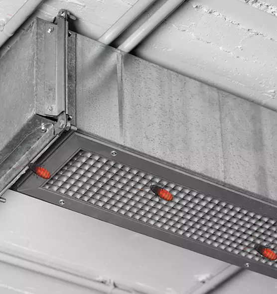 About Air Duct Cockroach Removal in Grapevine, TX