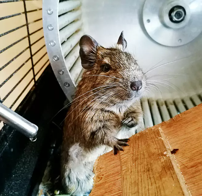 Why Homeowners & Businesses Trust Us Grapevine, TX