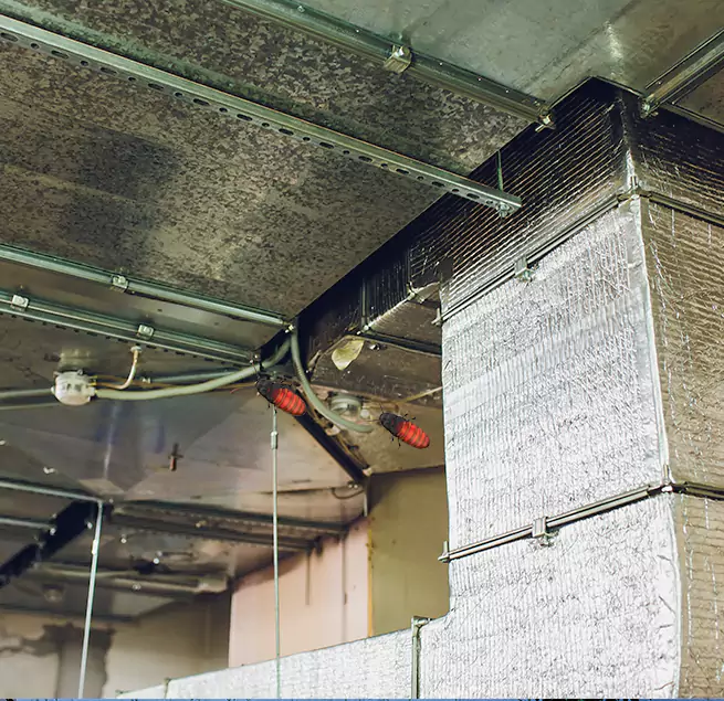 Why Homeowners & Businesses Trust Us Grapevine, TX?