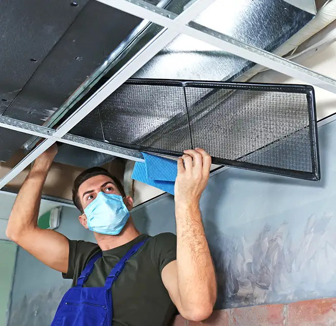 Why Homeowners & Businesses Trust Us in Grapevine, TX?